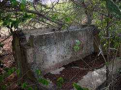 Seru_Maco_20130606_005